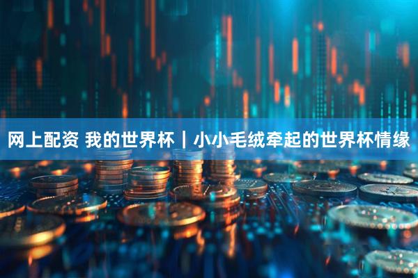 网上配资 我的世界杯｜小小毛绒牵起的世界杯情缘